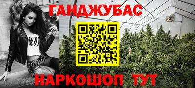 индика Кинель