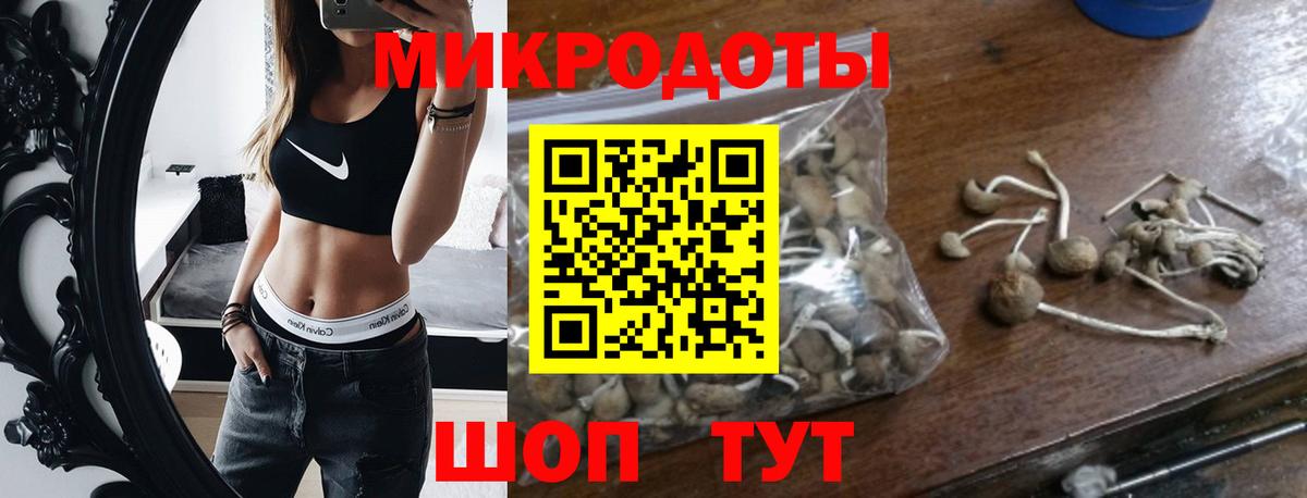 где купить наркоту  Галлюциногенные грибы MAGIC MUSHROOMS  Вход с VPN  Советский 