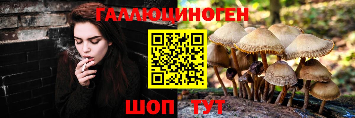 Галлюциногенные грибы ЛСД Советский